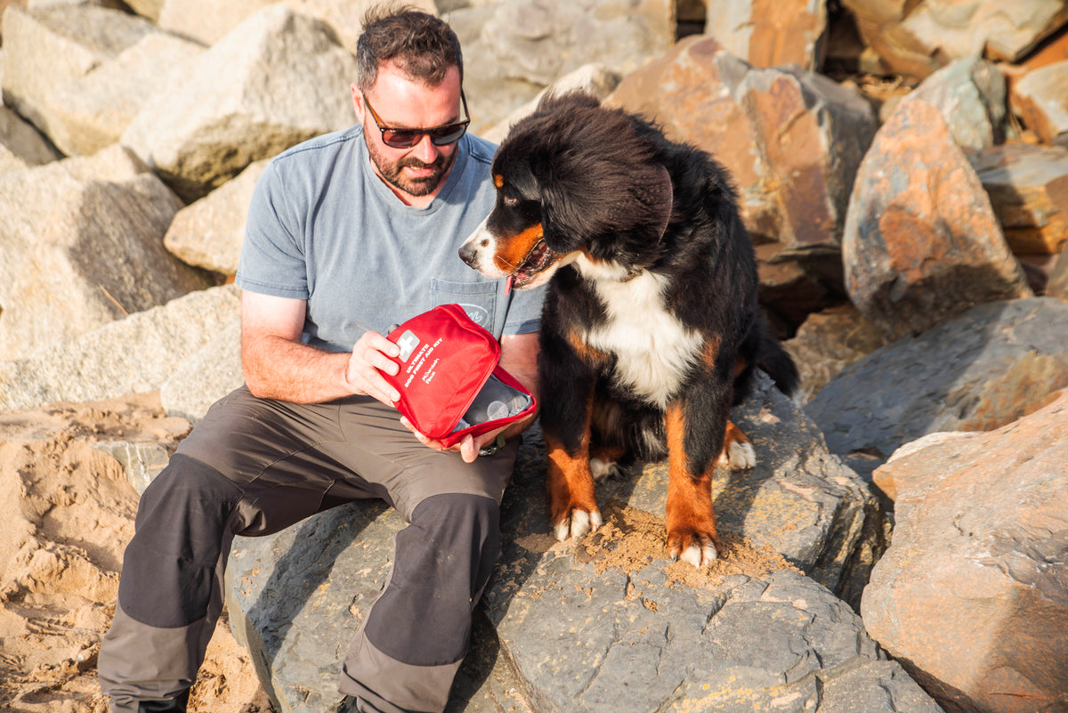 Ultimate Dog First Aid Kit