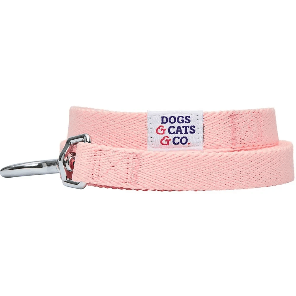 Dogs And Cats Co Classic Chic Solid Dog Leash 4 Feet by Blueberry Pet