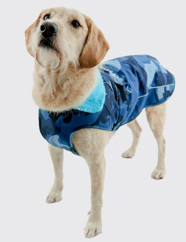 The Dryrobe Dog Jacket - waterproof and wind-resistant by Dryrobe