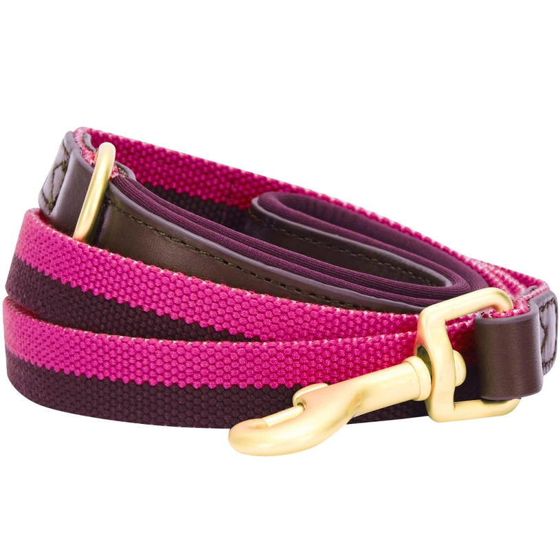 Full Grain Leather & Polyester Dog Leash by Blueberry Pet
