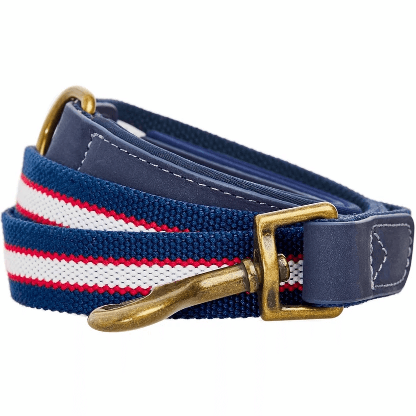 Full Grain Leather & Polyester Dog Leash by Blueberry Pet