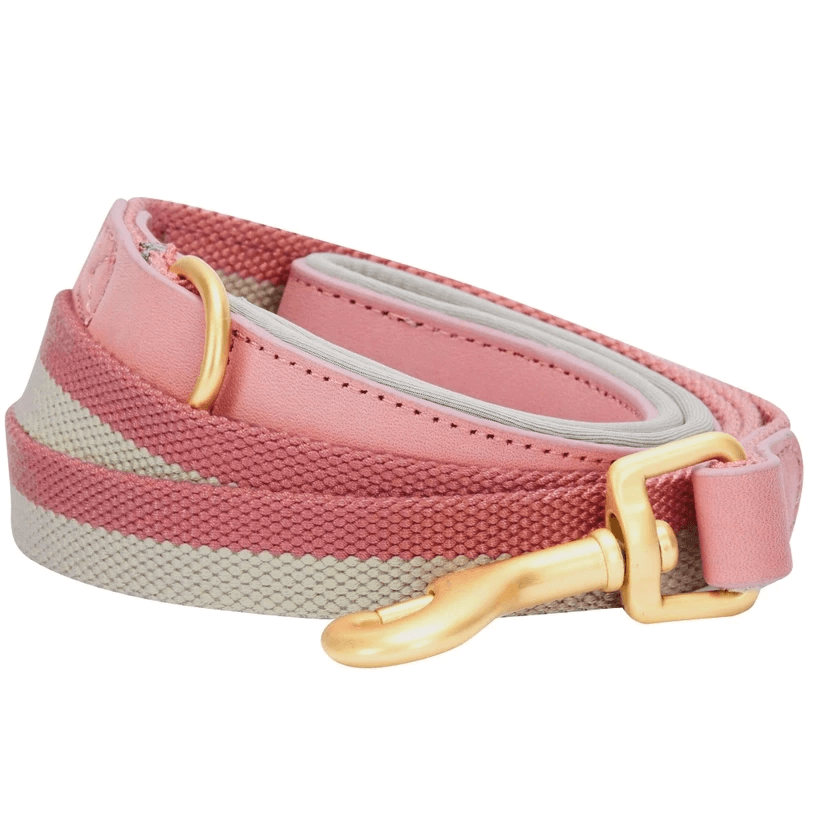 Full Grain Leather & Polyester Dog Leash by Blueberry Pet