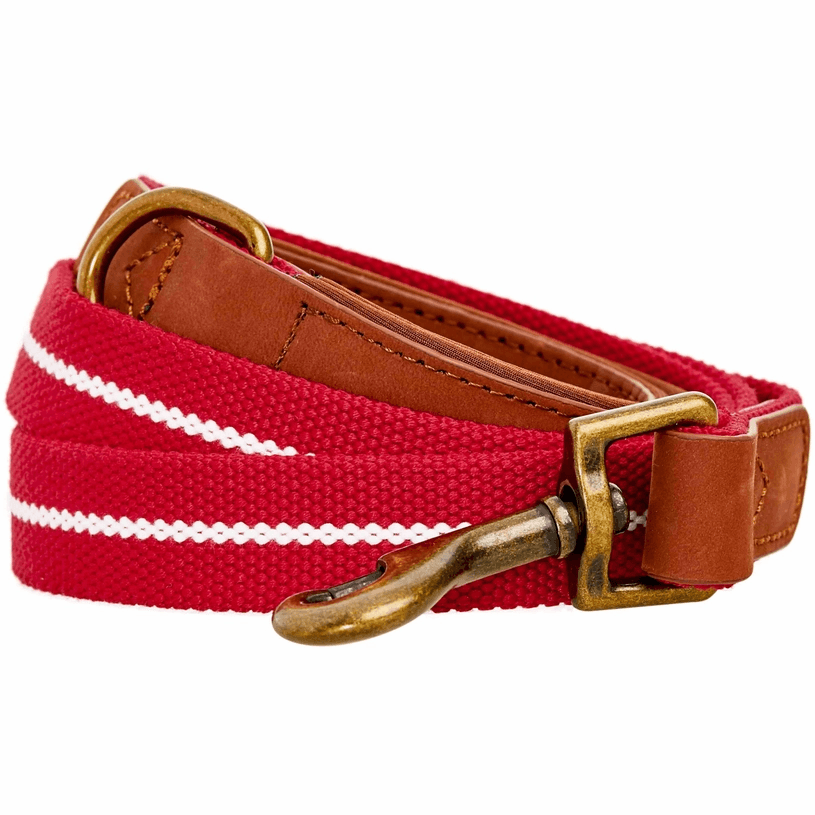 Full Grain Leather & Polyester Dog Leash by Blueberry Pet