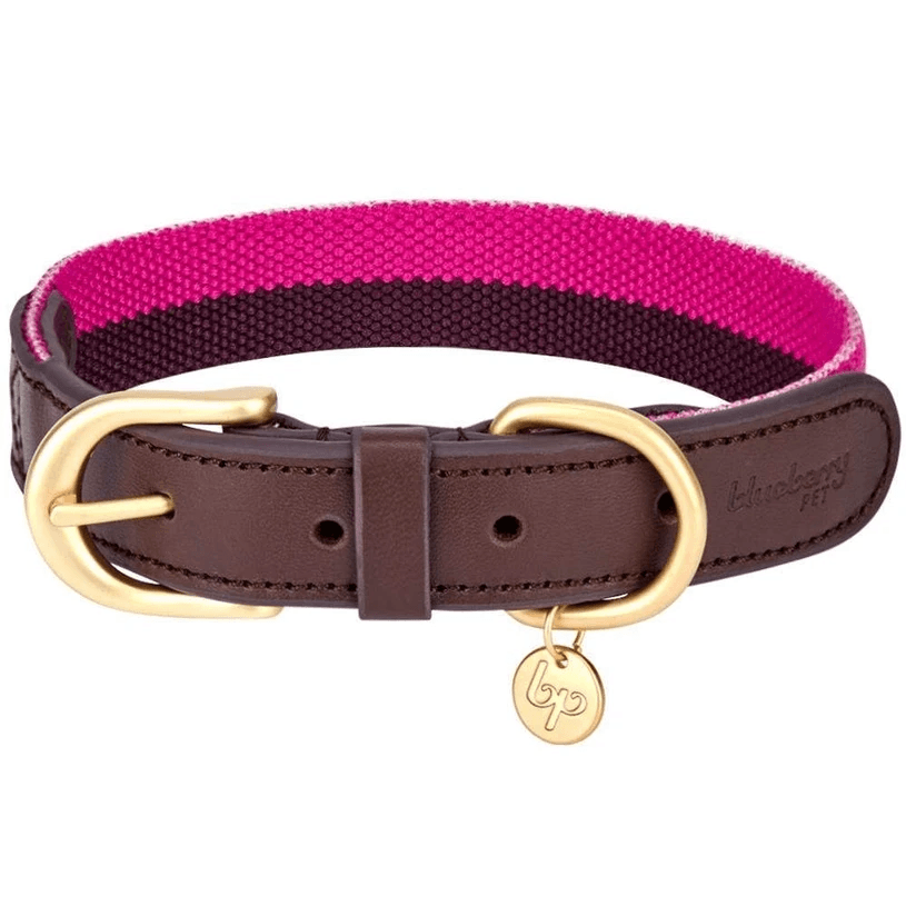 Full Grain Leather & Polyester Dog Collar by Blueberry Pet