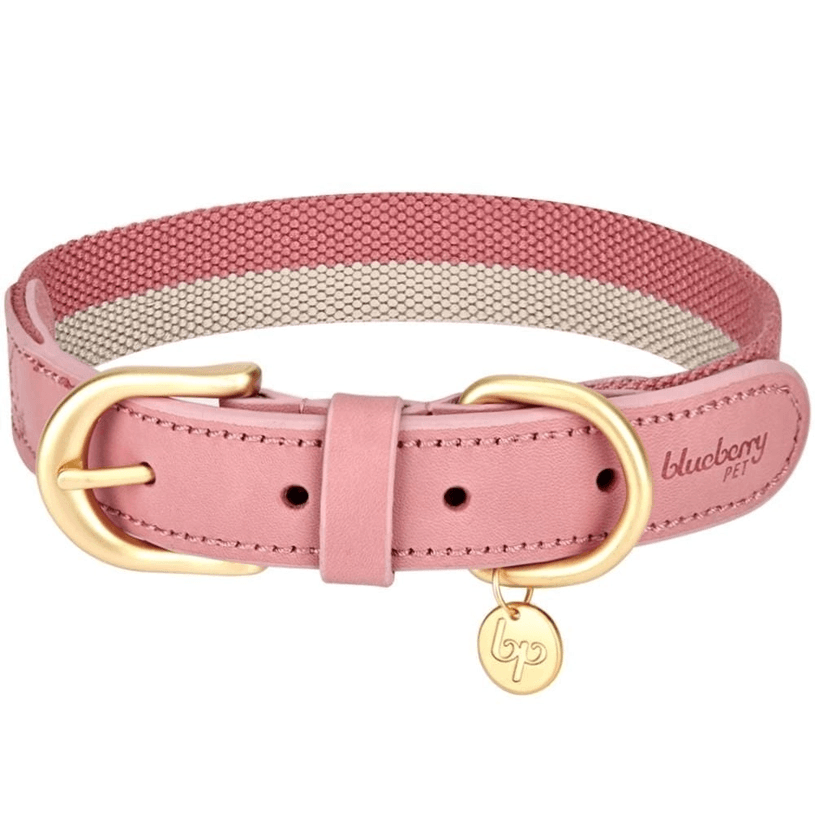 Full Grain Leather & Polyester Dog Collar by Blueberry Pet