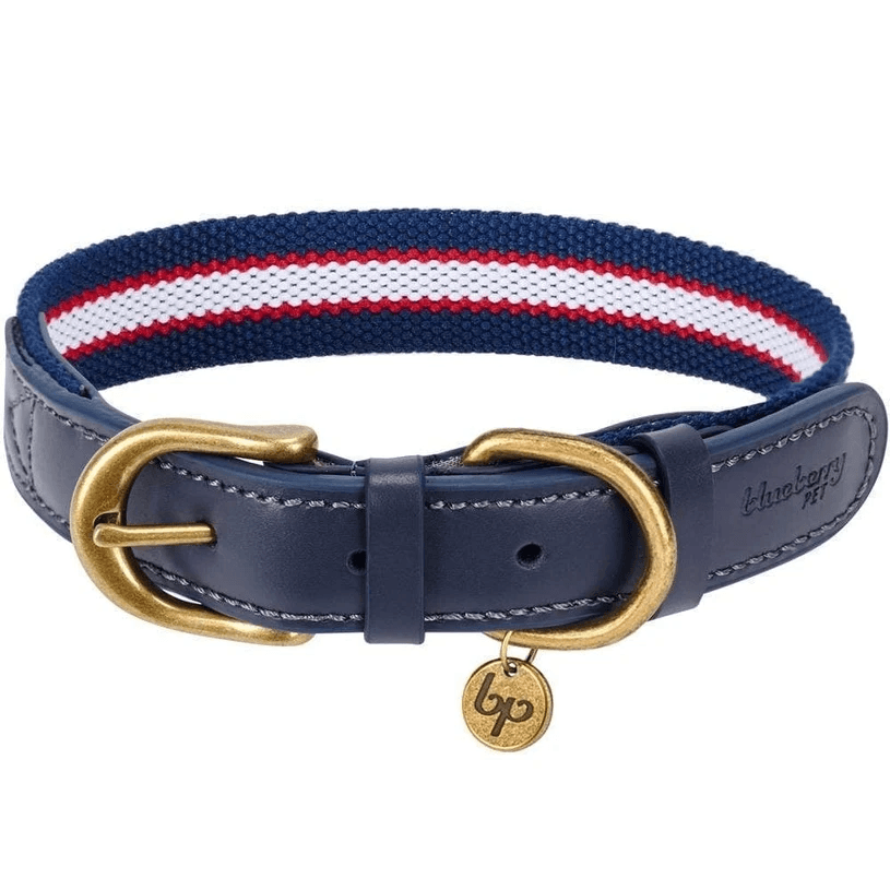 Full Grain Leather & Polyester Dog Collar by Blueberry Pet