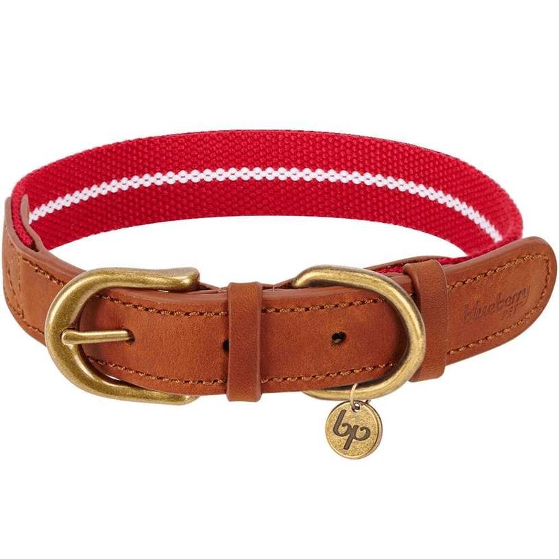 Full Grain Leather & Polyester Dog Collar by Blueberry Pet
