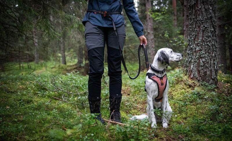 Non-Stop dogwear Touring Bungee adjustable Dog lead by Non-Stop dogwear