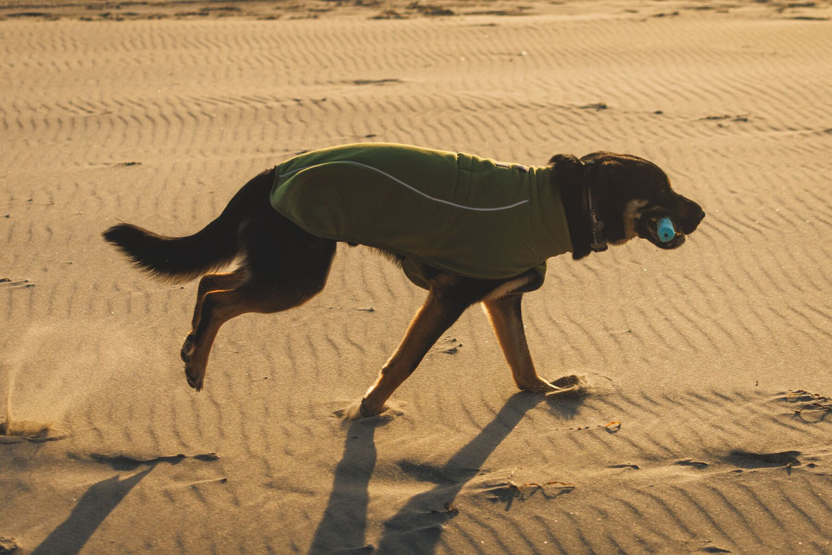 Ruffwear Climate Changer Fleece Vest Dog Jacket