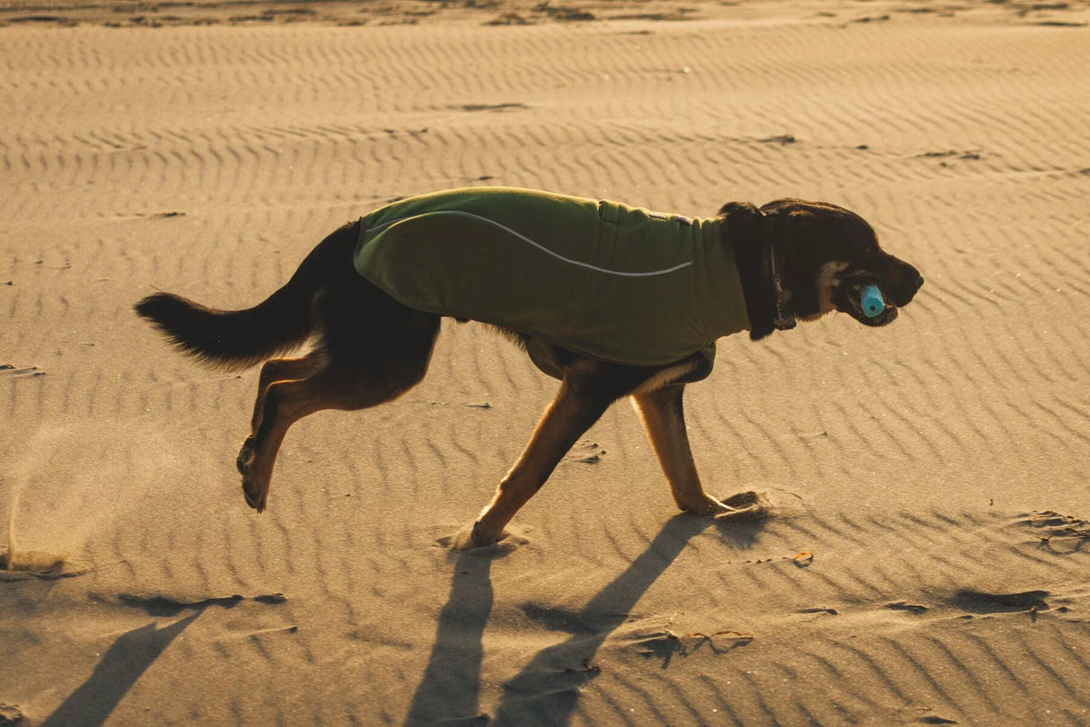 Ruffwear Climate Changer Fleece Vest Dog Jacket by Ruffwear