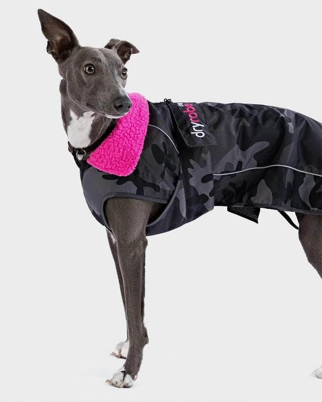 The Dryrobe Dog Jacket - waterproof and wind-resistant by Dryrobe