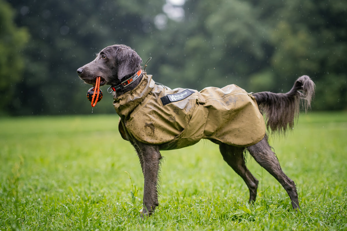 Non-stop dogwear Fjord raincoat WD