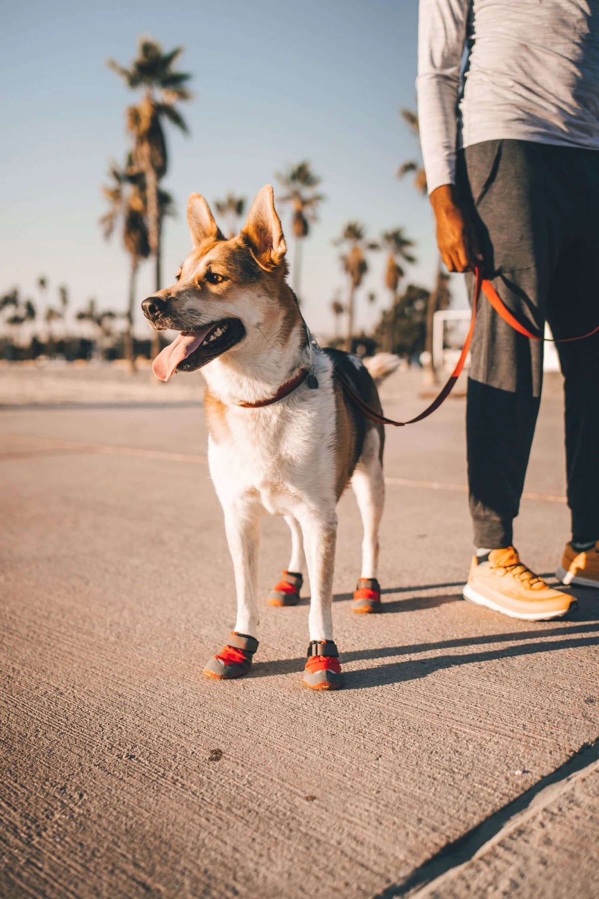 Ruffwear Grip Trex Dog Boots - set of two by Ruffwear