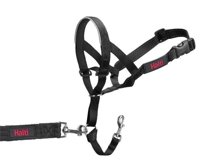Halti Headcollar by Company of Animals