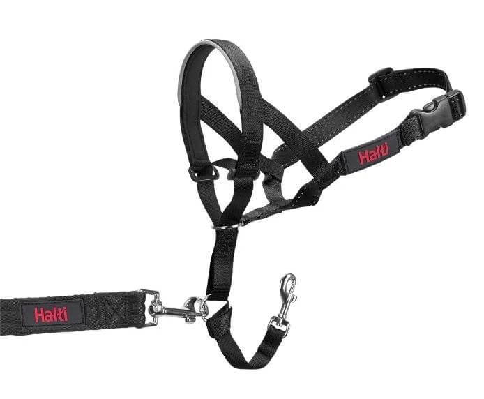 Halti Headcollar by Company of Animals