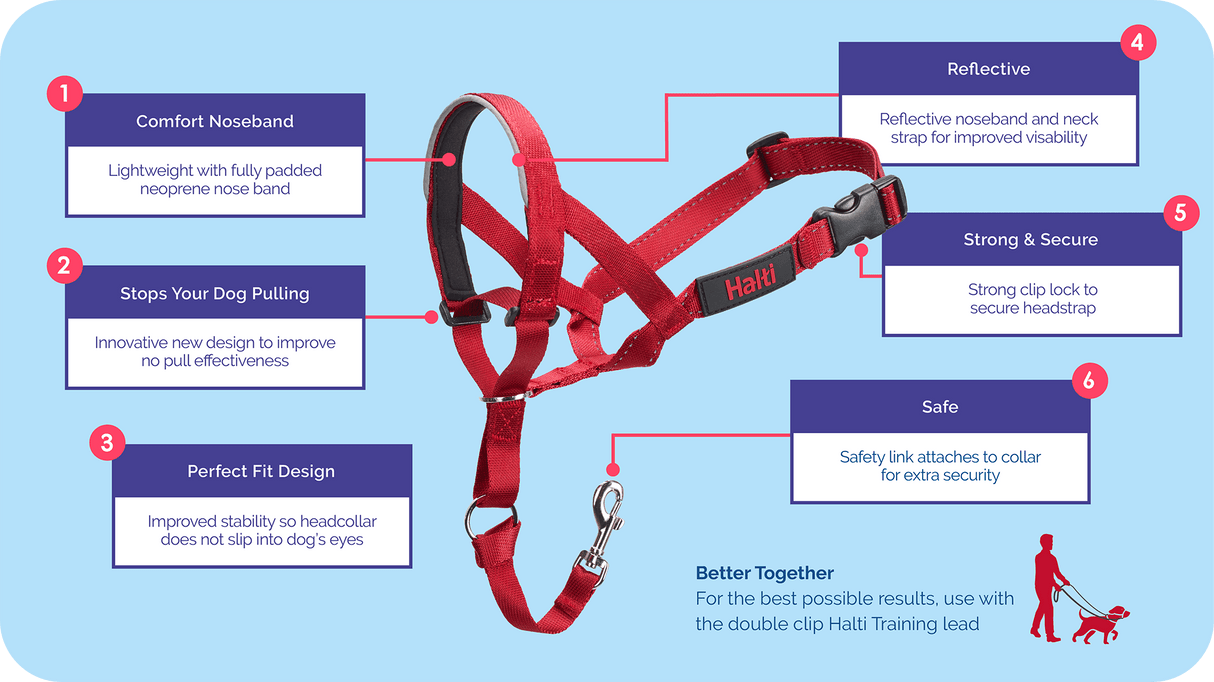Halti Headcollar by Company of Animals