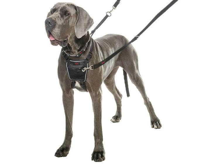 Halti No Pull Harness by Company of Animals