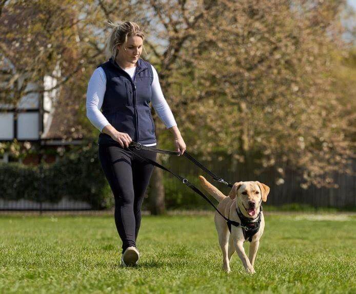 Halti No Pull Harness by Company of Animals