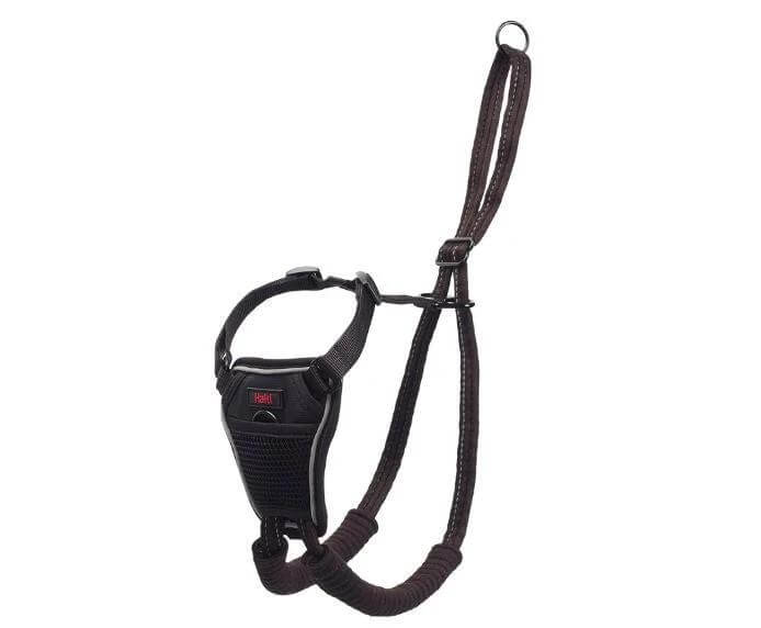 Halti No Pull Harness by Company of Animals