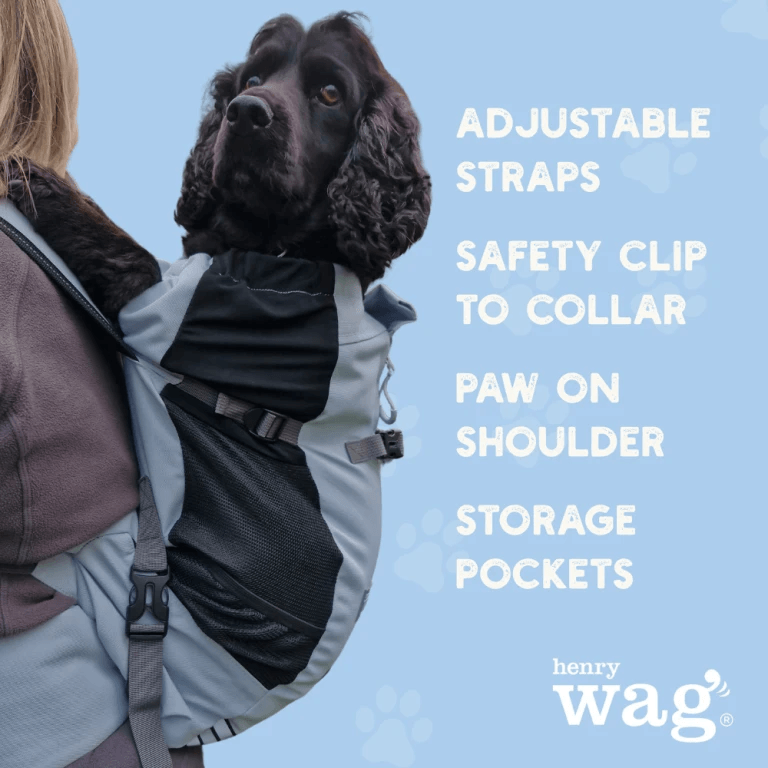 Dog Backpack Forward Facing with adjustable straps and safety clip for secure pet carrying.