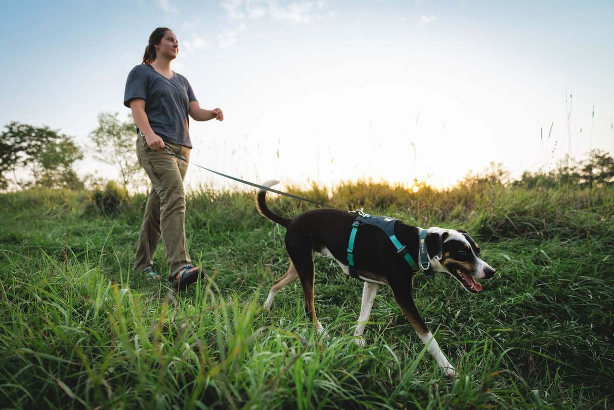 Ruffwear Hi & Light Lightweight Dog Harness by Ruffwear