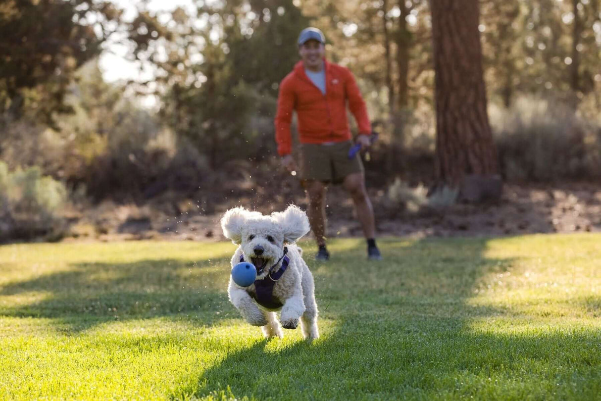 Ruffwear Huckama Rubber Dog Throw Toy by Leadingdog