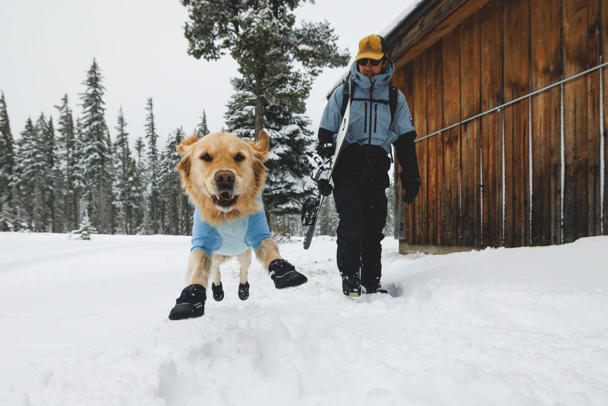Ruffwear Polar Trex dog snow boots
