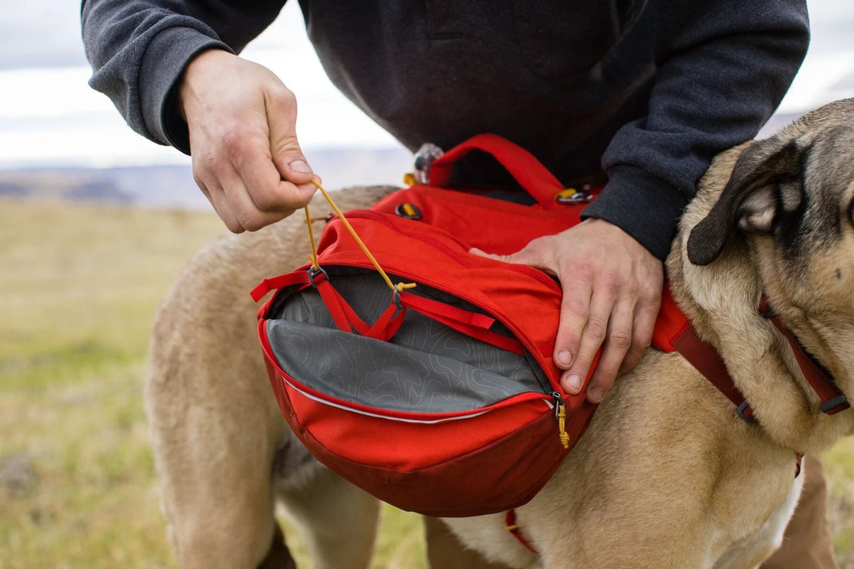 Ruffwear Palisades Dog Backpack by Ruffwear