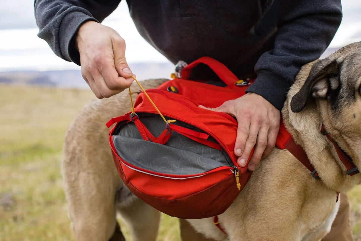 Ruffwear Palisades Dog Backpack by Ruffwear