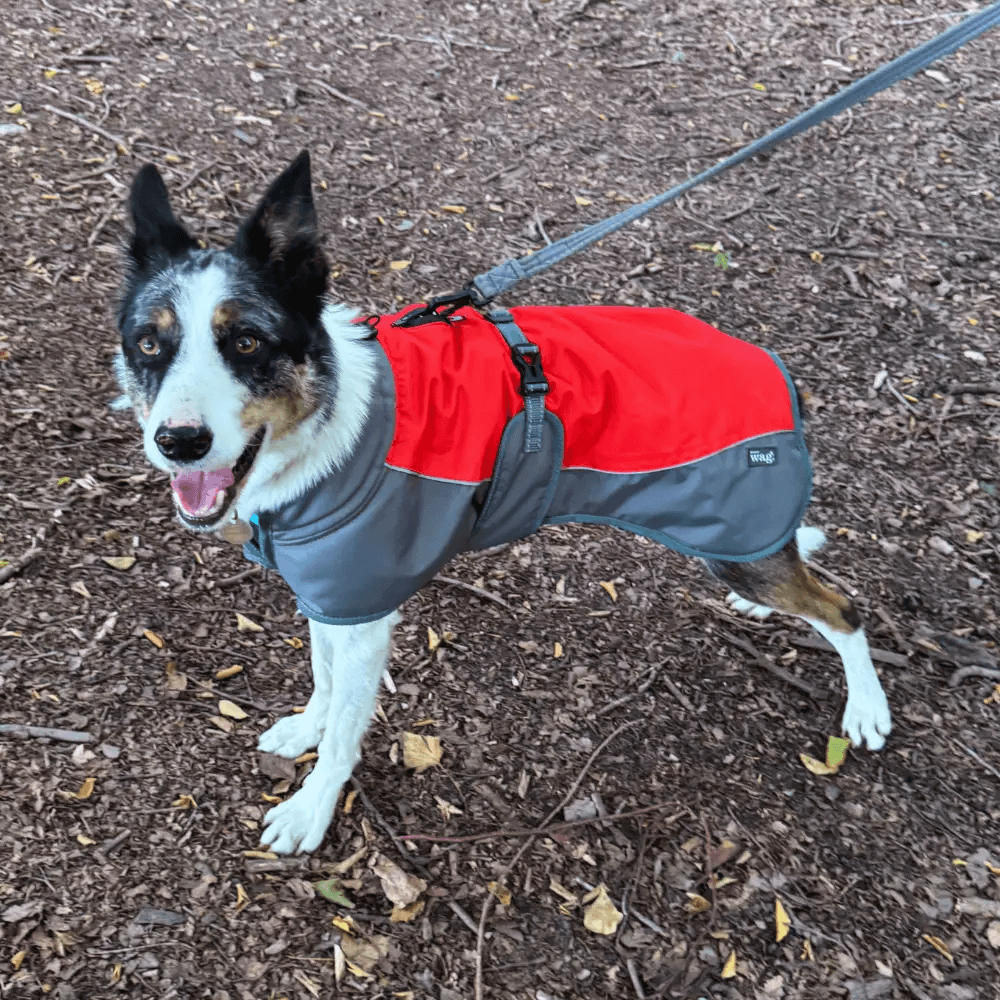 Henry Wag Waterproof Dog Coat With Breathable Outer Layer Fleece Lining And Fibre Filled Insulation Chest Panel by Henry Wag