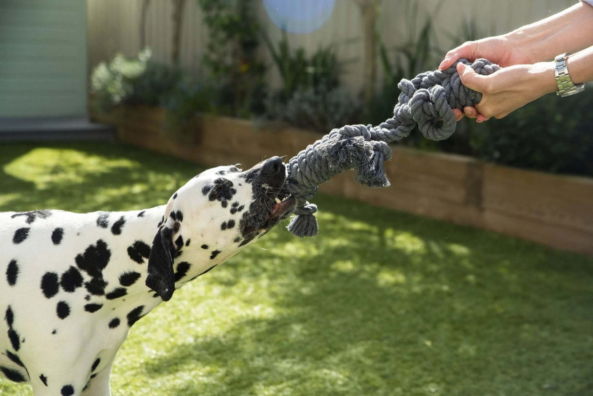 Rope Buddy Toy by Henry Wag