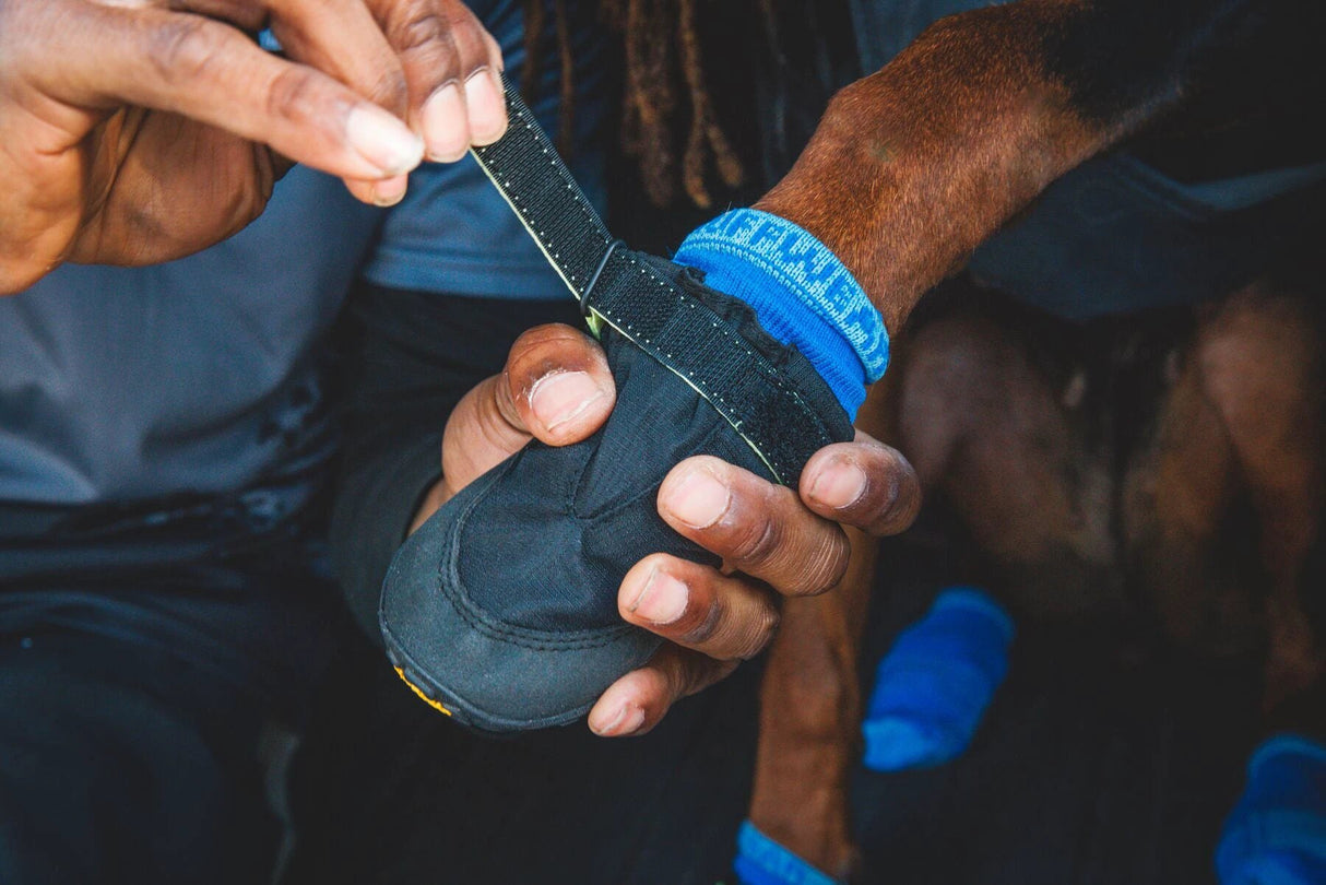 Ruffwear Summit Trex Shoe - Dog Boots set of 2 by Ruffwear