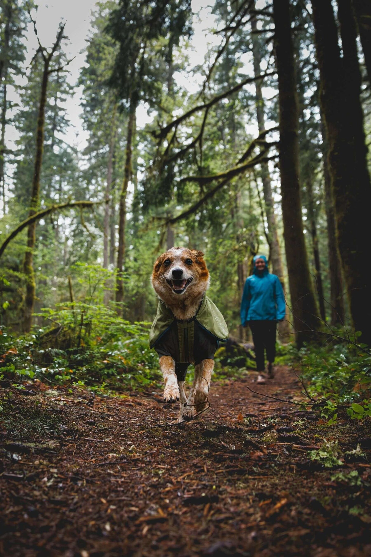 Ruffwear Sun Shower Coverall Dog Jacket by Ruffwear