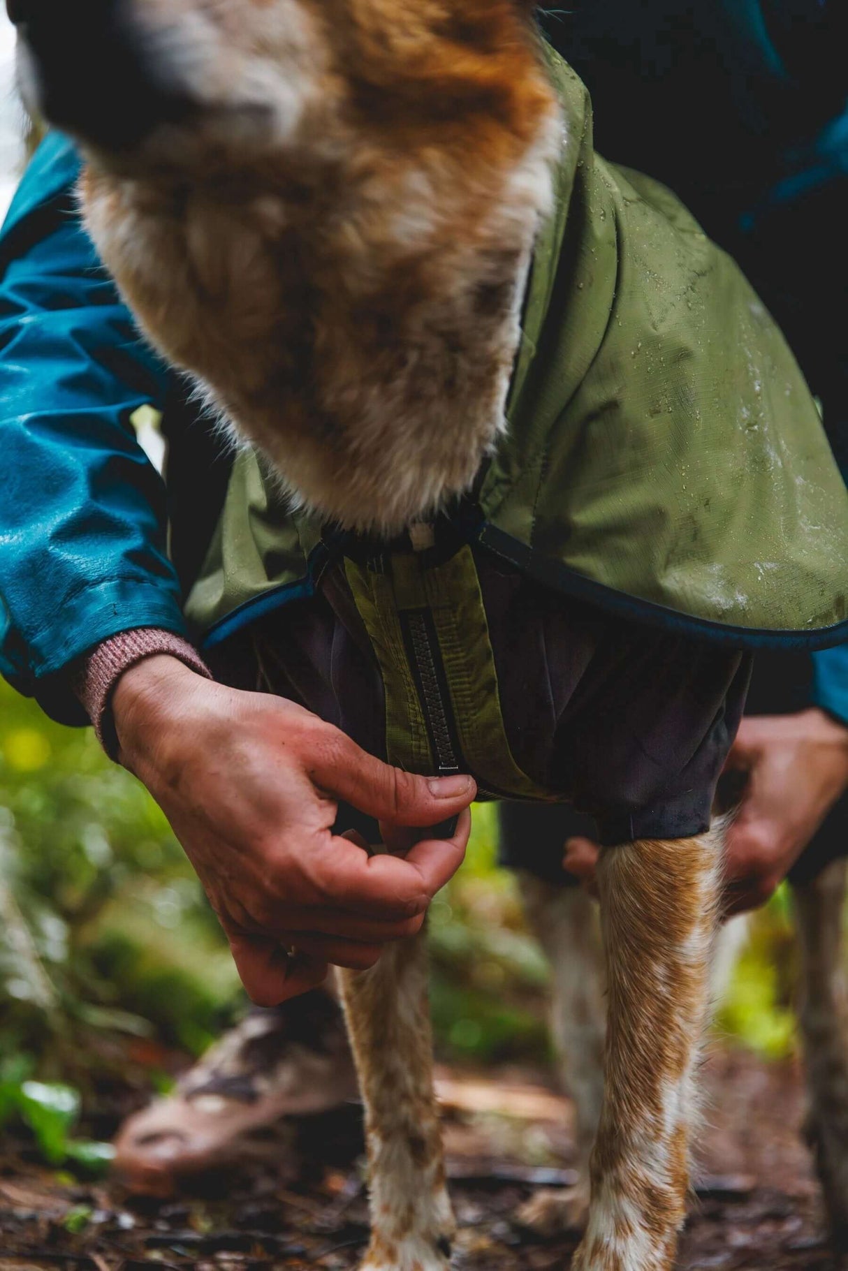 Ruffwear Sun Shower Coverall Dog Jacket by Ruffwear