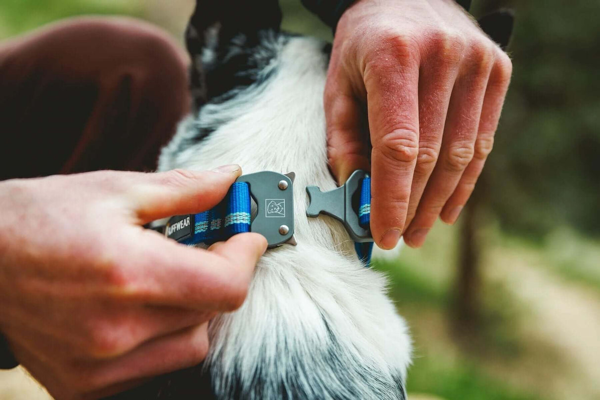 Ruffwear Top Rope Dog Collar with side-release Talon Buckle by Ruffwear