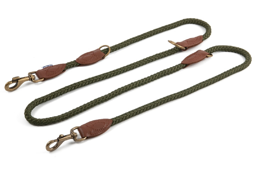 Ancol Heritage Mulitway training lead