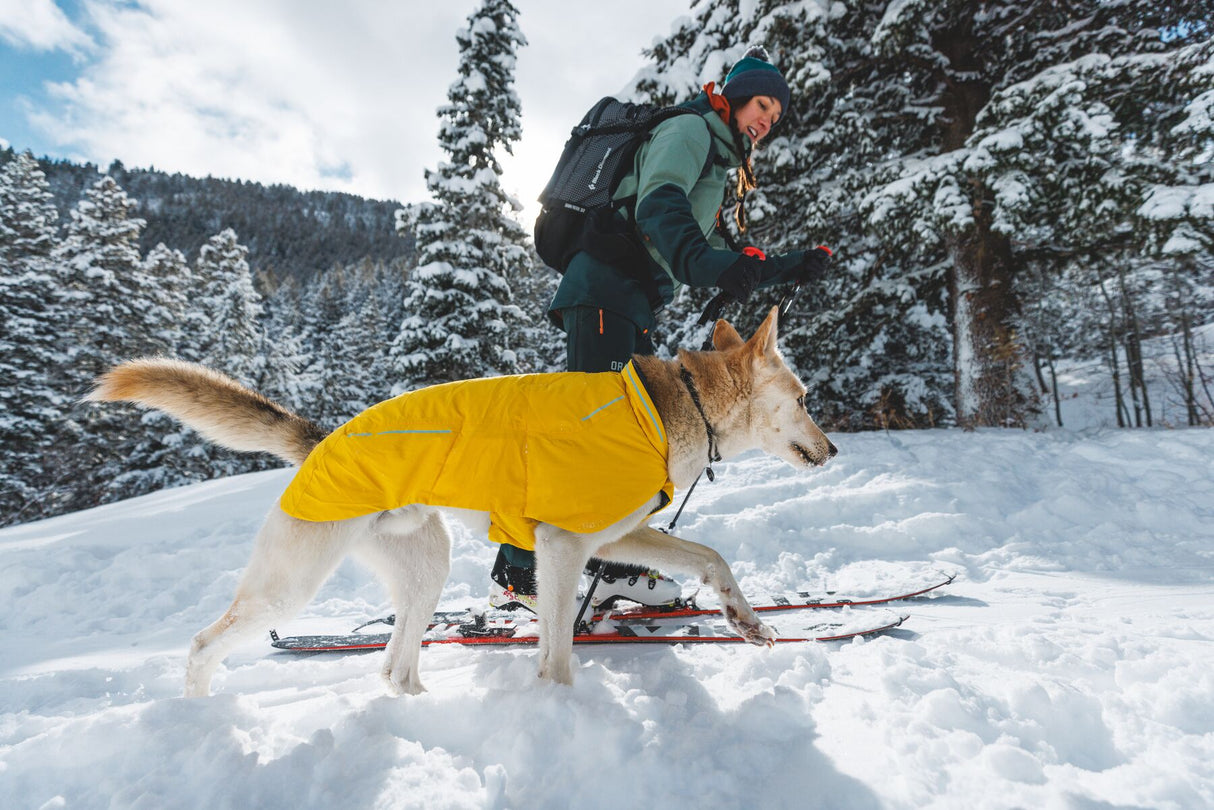 Ruffwear Vert Jacket - waterproof, windproof, insulated dog coat