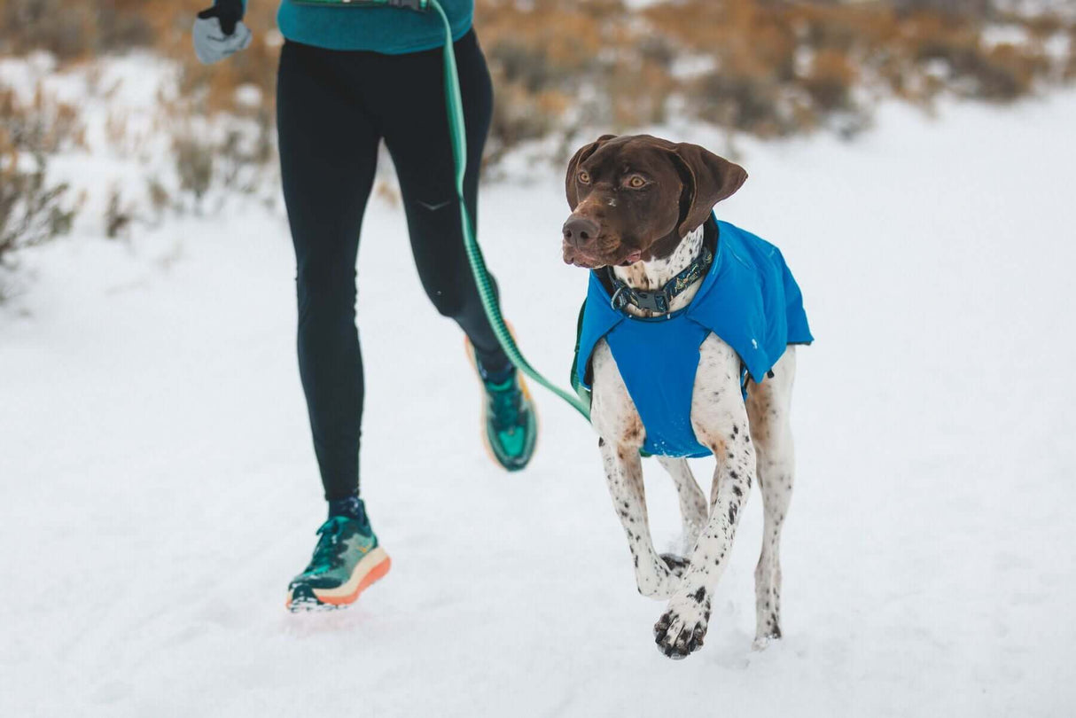 Ruffwear Vert Jacket - waterproof, windproof, insulated dog coat by Ruffwear