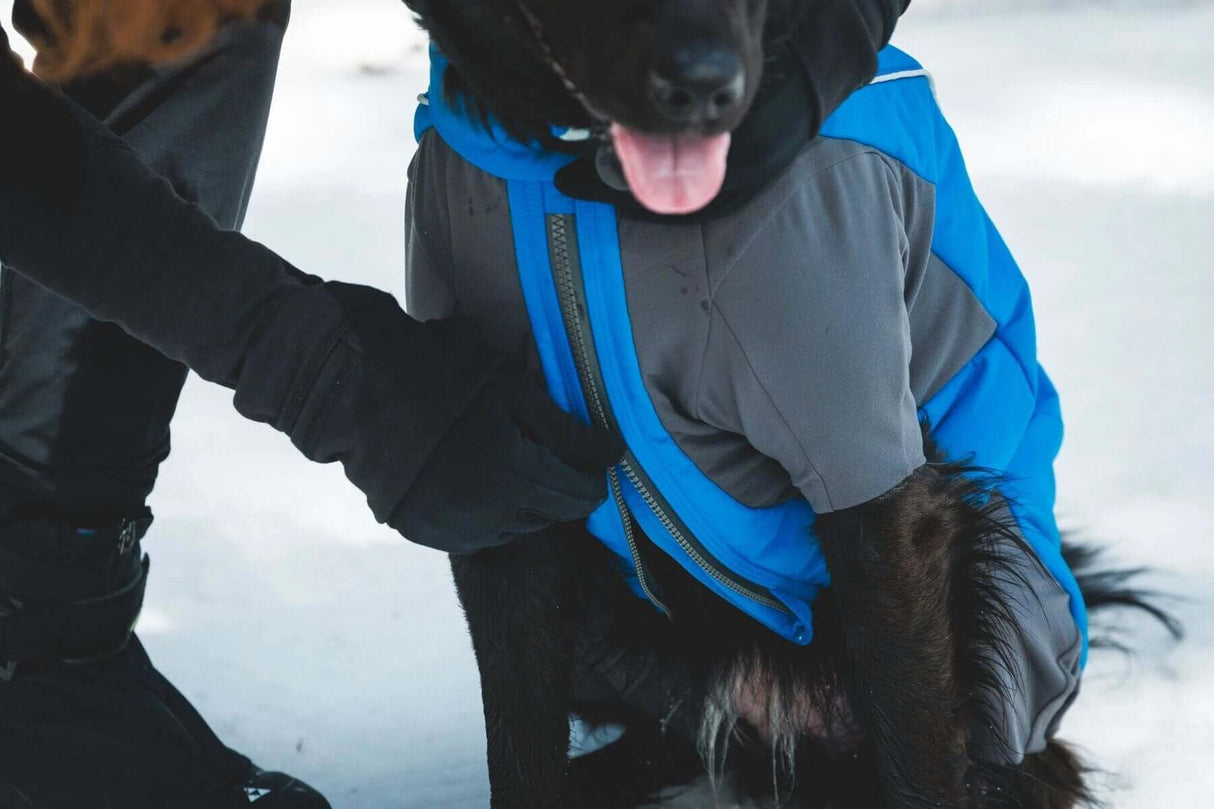 Ruffwear Vert Coverall Dog Jacket by Ruffwear
