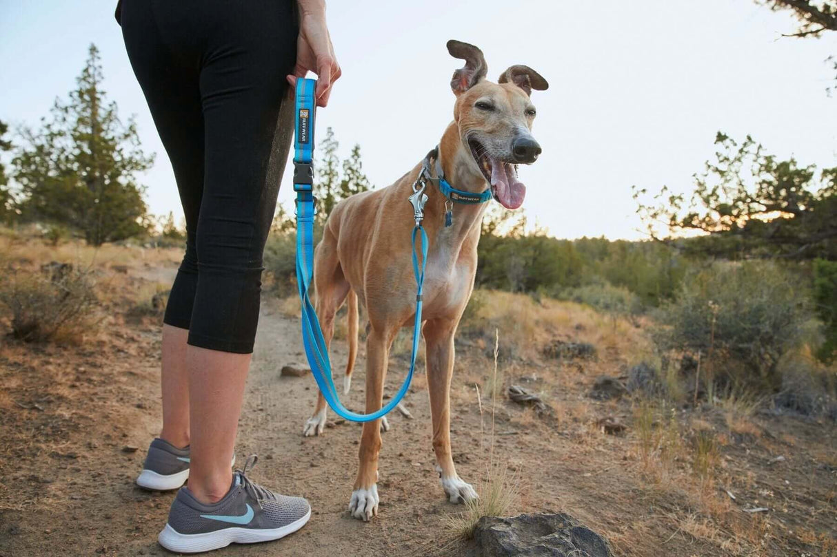 Ruffwear Web Reaction Martingale Dog Collar by Ruffwear
