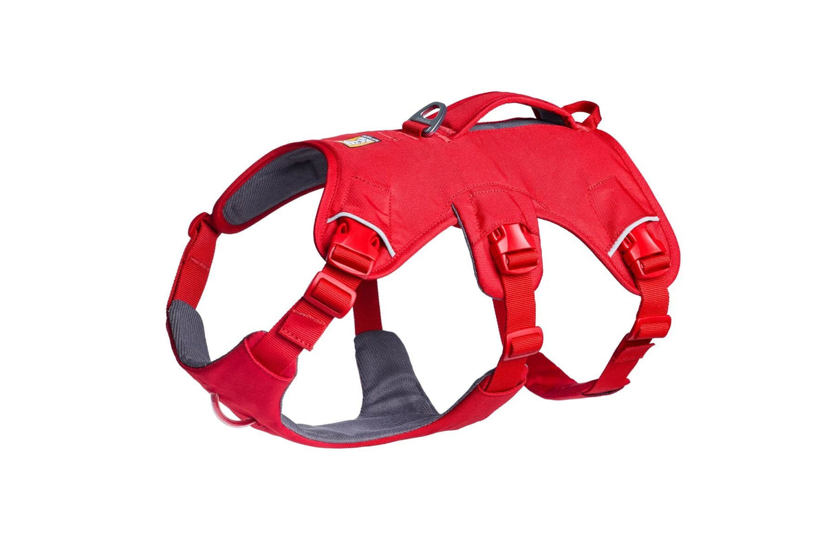 Ruffwear Web Master Harness - Dog Harness with Handle by Ruffwear