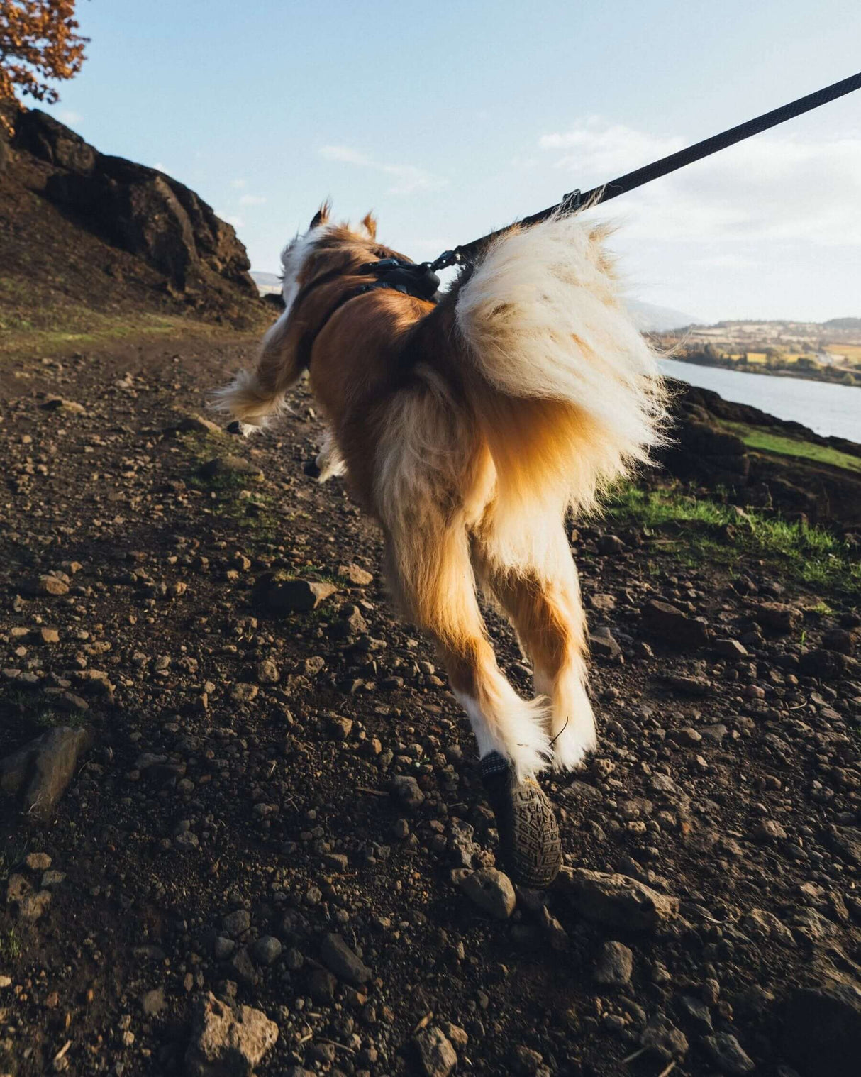 Ruffwear Ridgeline Leash by Ruffwear