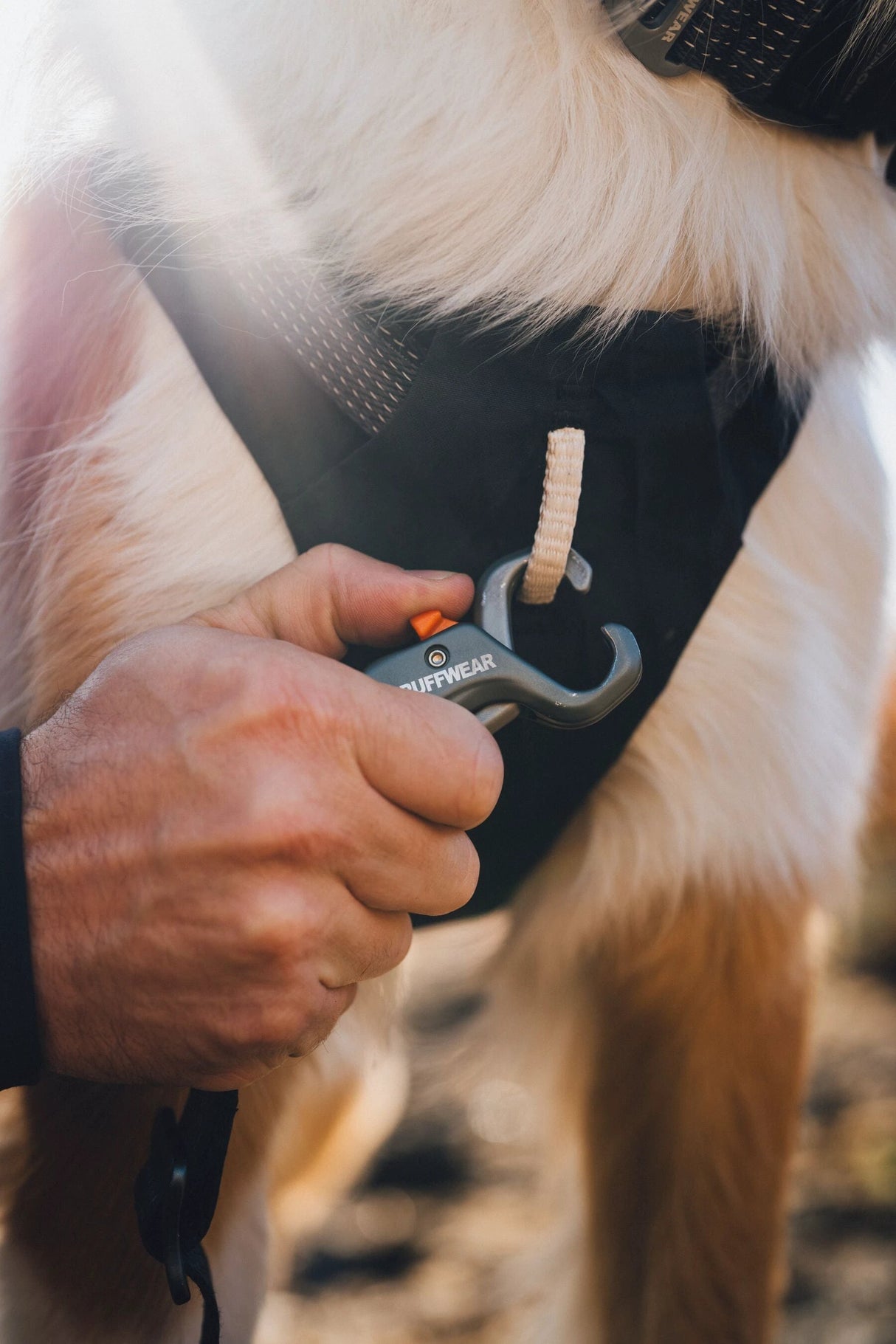 Ruffwear Ridgeline Leash by Ruffwear