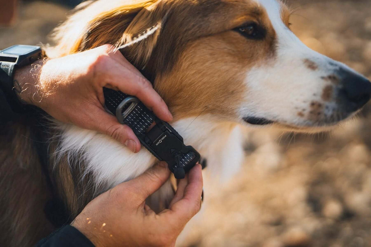 Ruffwear Ridgeline Collar by Ruffwear