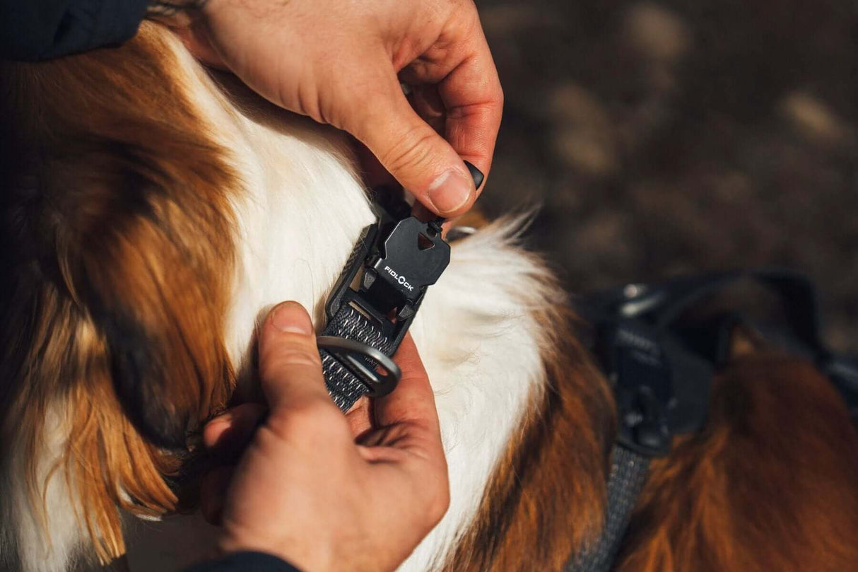 Ruffwear Ridgeline Harness by Ruffwear