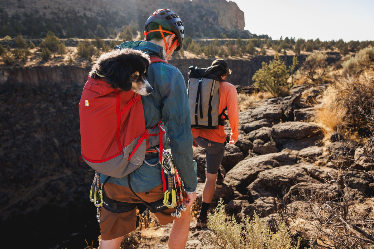 Outdoor scene with a person carrying a dog in a Ruffwear Hitch Hiker Dog Backpack Carrier while hiking.