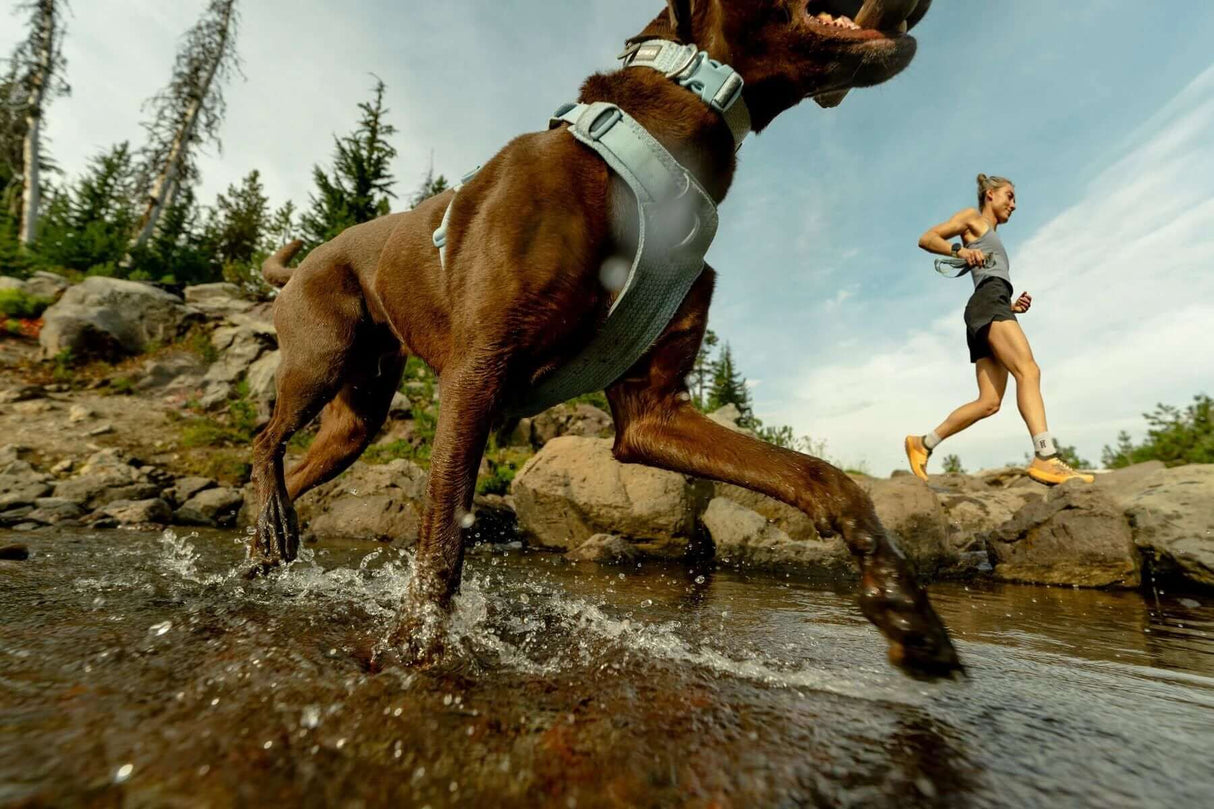 Front Range Flex Collar by Ruffwear