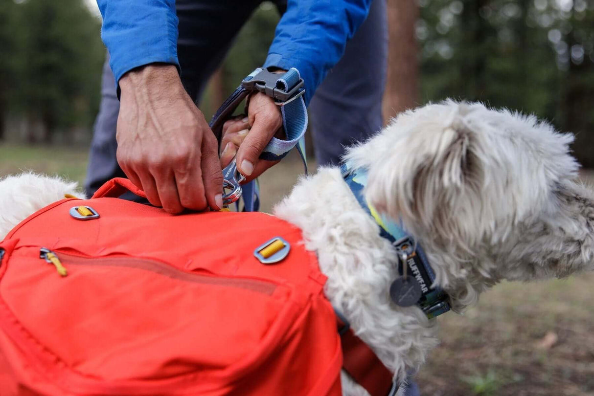 Ruffwear Palisades Dog Backpack by Ruffwear