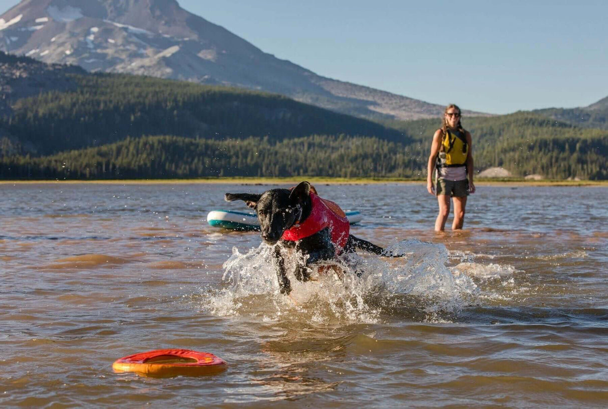 Ruffwear Hydro Plane Floating Foam Dog Toy by Ruffwear