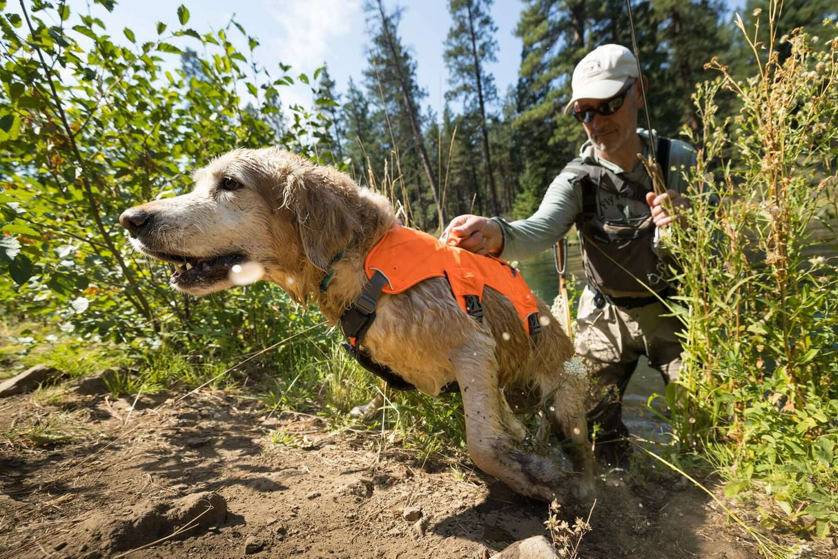 Ruffwear Web Master Harness - Dog Harness with Handle by Ruffwear